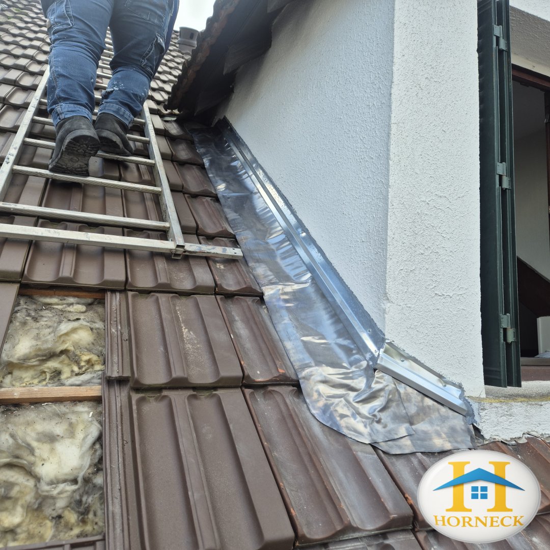  courtry démarrage de chantier chiens assis